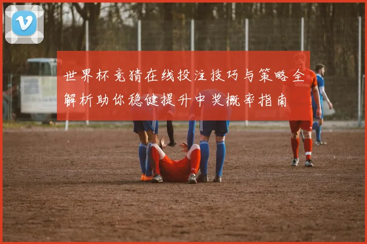 世界杯竞猜在线投注技巧与策略全解析助你稳健提升中奖概率指南