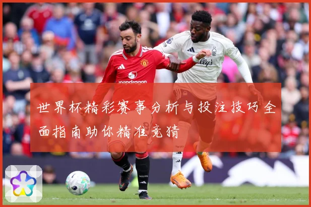 世界杯精彩赛事分析与投注技巧全面指南助你精准竞猜