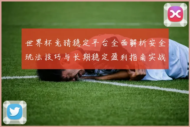 世界杯竞猜稳定平台全面解析安全玩法技巧与长期稳定盈利指南实战
